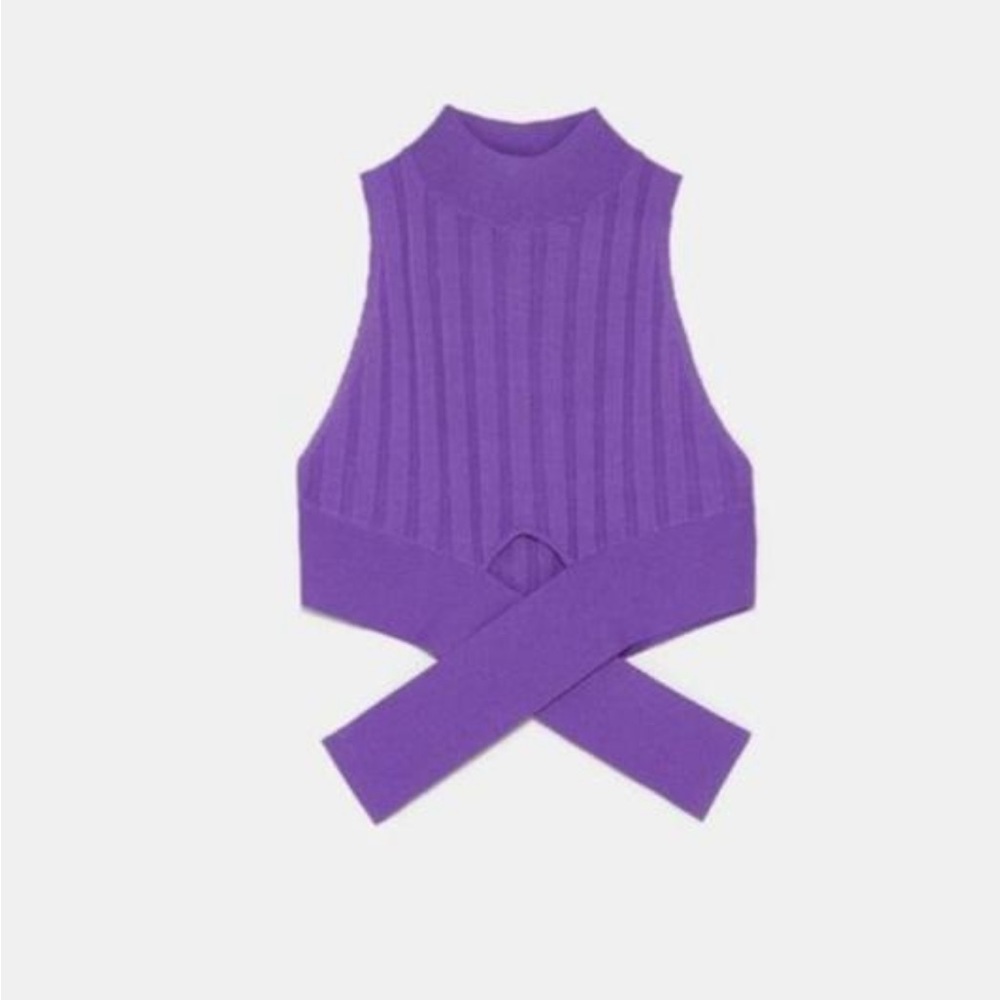 Zara purple crop top